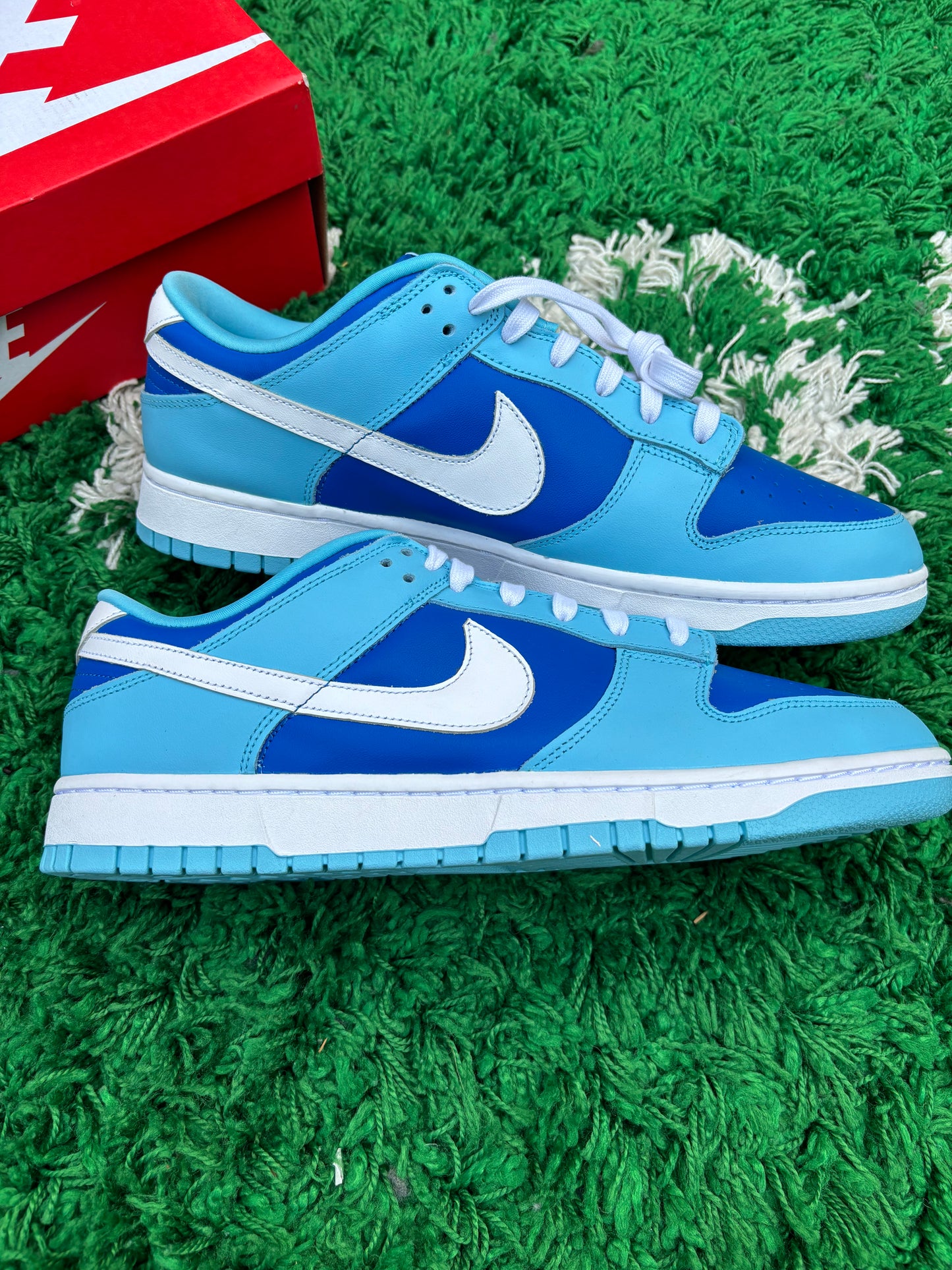 Dunk Low Argon