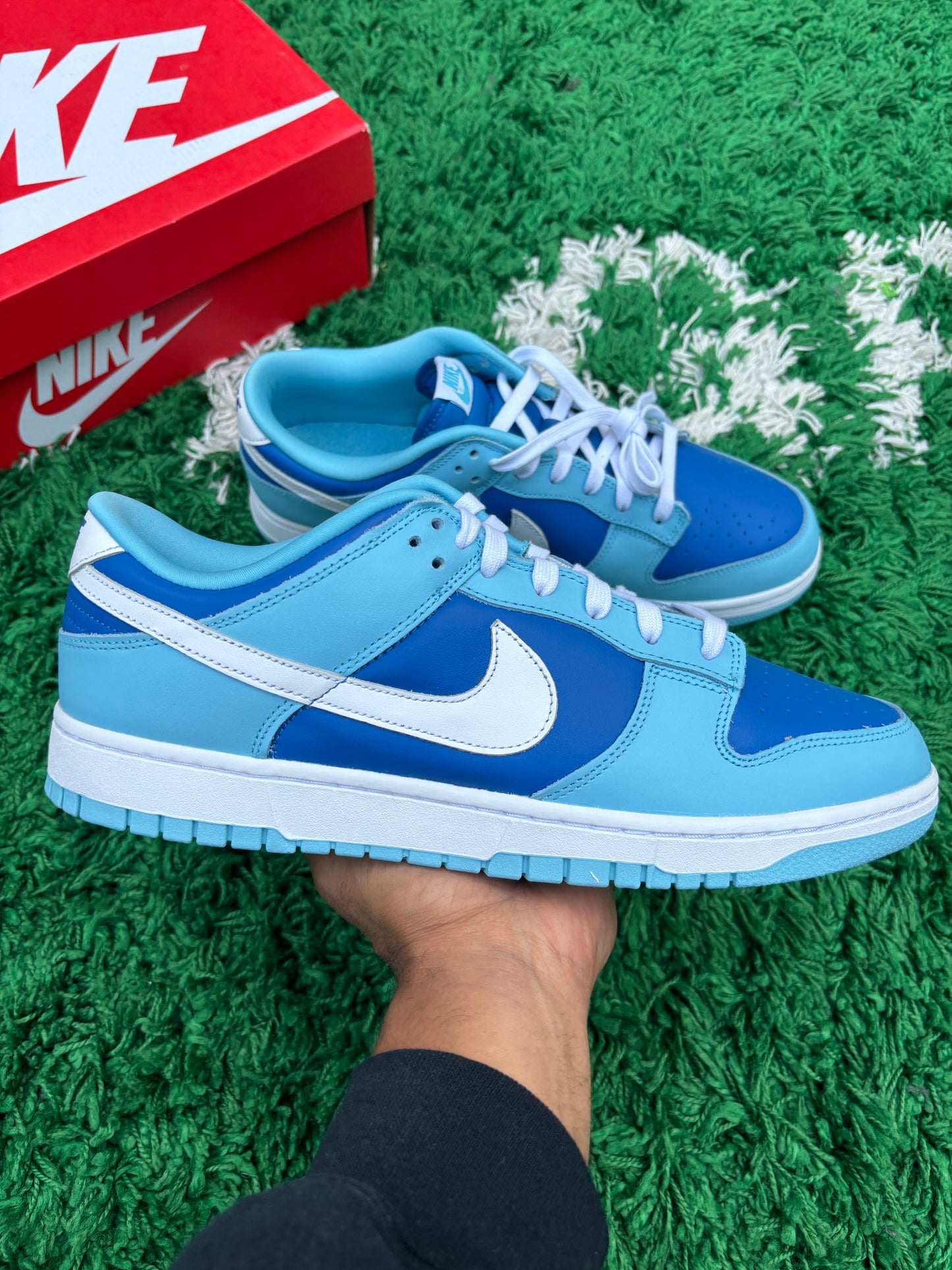 Dunk Low Argon