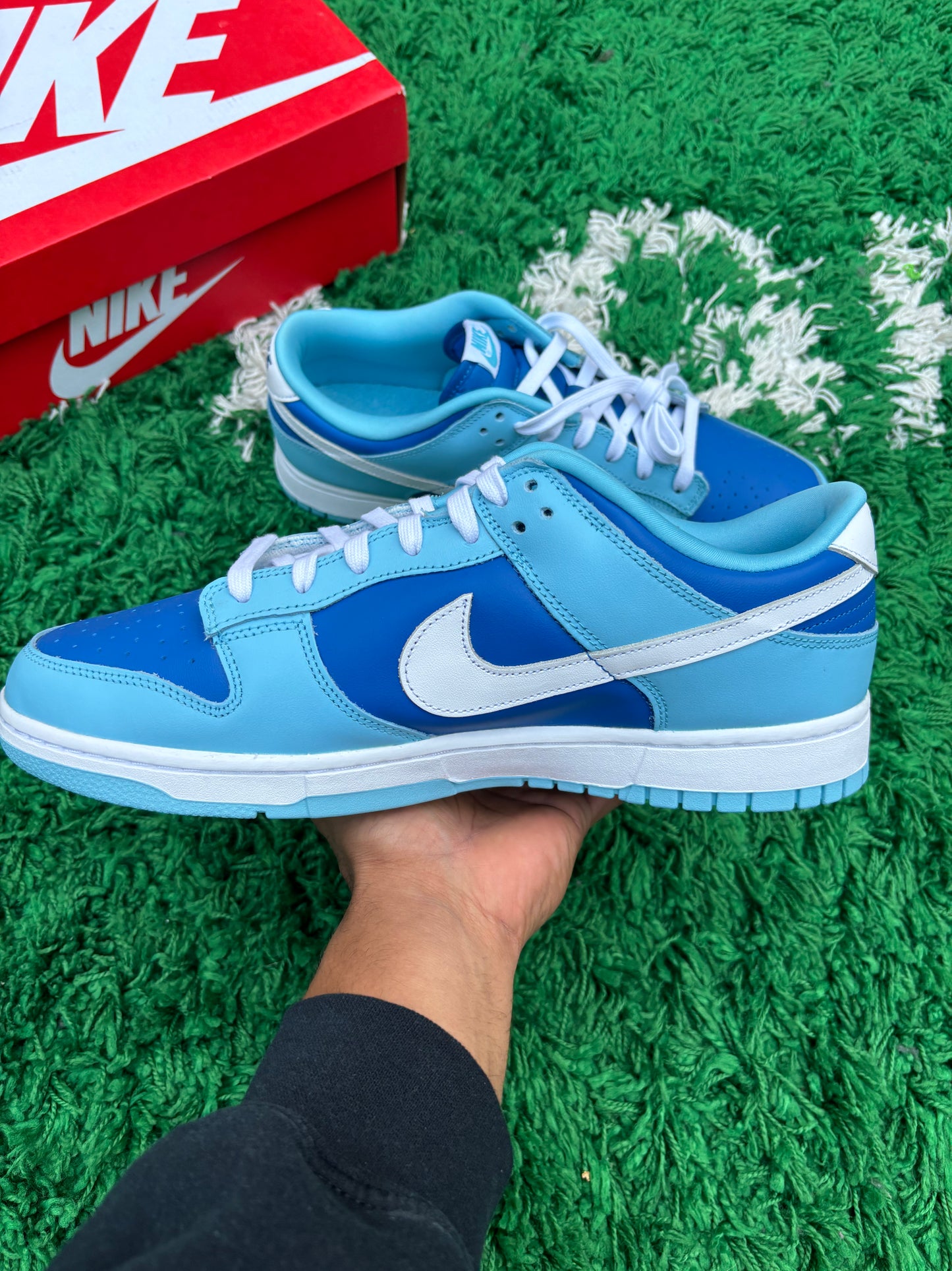 Dunk Low Argon